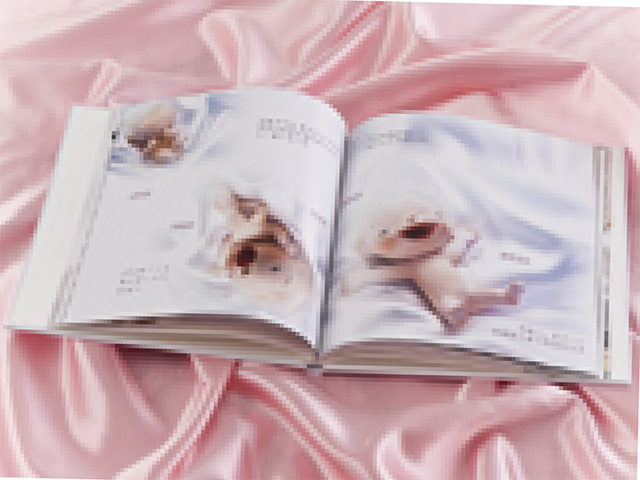 絆絵本
